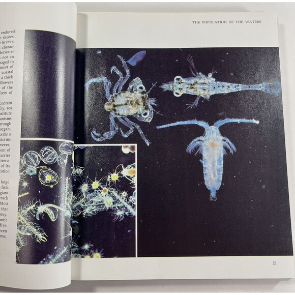 The First Eden: The Mediterranean World and Man by David Attenborough 1987 - Picture 6 of 12